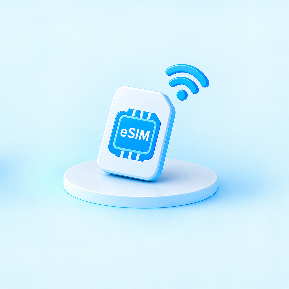데이터심(ESIM)